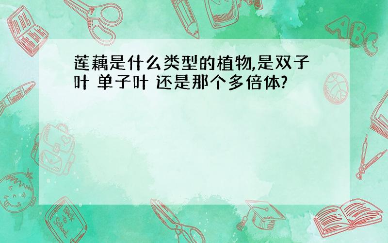 莲藕是什么类型的植物,是双子叶 单子叶 还是那个多倍体?