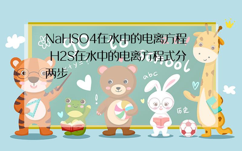 NaHSO4在水中的电离方程 H2S在水中的电离方程式分两步