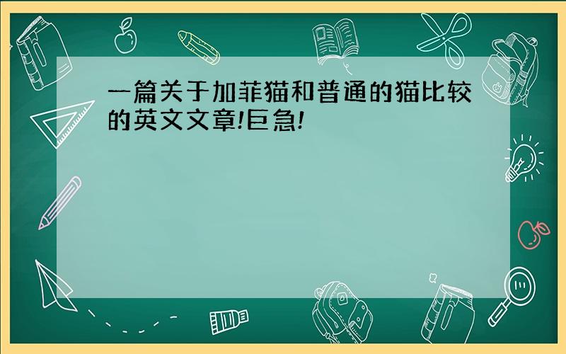 一篇关于加菲猫和普通的猫比较的英文文章!巨急!