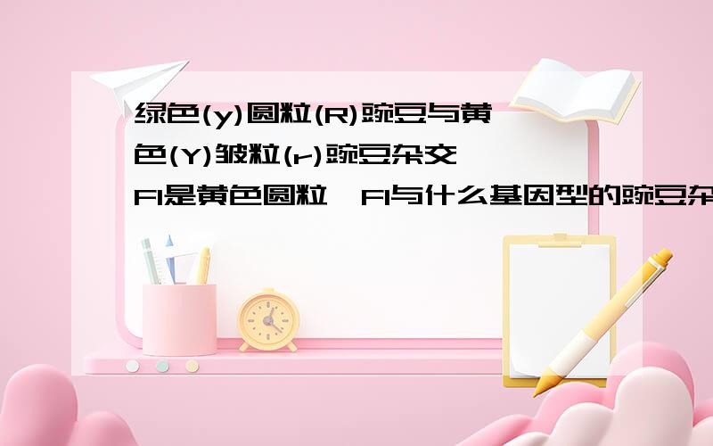 绿色(y)圆粒(R)豌豆与黄色(Y)皱粒(r)豌豆杂交,F1是黄色圆粒,F1与什么基因型的豌豆杂交会得到下列结果?