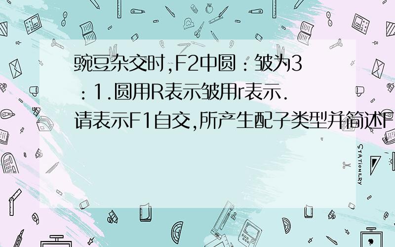 豌豆杂交时,F2中圆：皱为3：1.圆用R表示皱用r表示.请表示F1自交,所产生配子类型并简述F2预期结果.