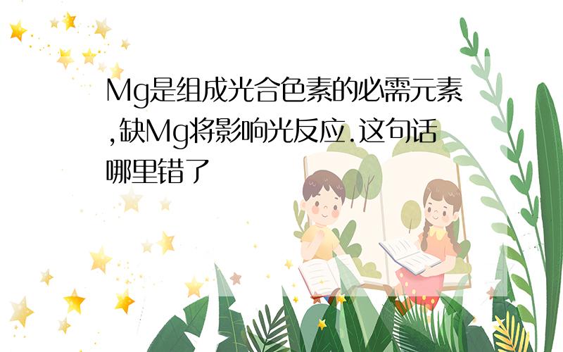 Mg是组成光合色素的必需元素,缺Mg将影响光反应.这句话哪里错了