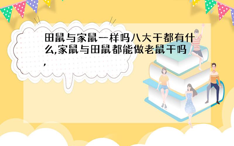 田鼠与家鼠一样吗八大干都有什么,家鼠与田鼠都能做老鼠干吗,