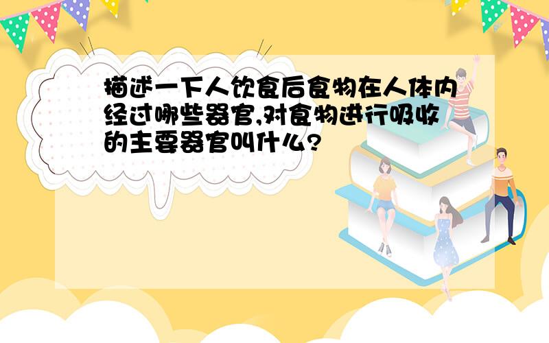 描述一下人饮食后食物在人体内经过哪些器官,对食物进行吸收的主要器官叫什么?