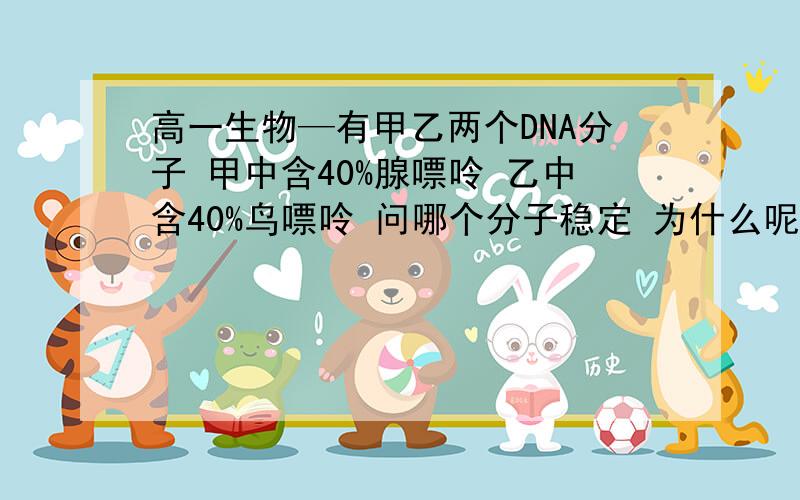 高一生物—有甲乙两个DNA分子 甲中含40%腺嘌呤 乙中含40%鸟嘌呤 问哪个分子稳定 为什么呢?