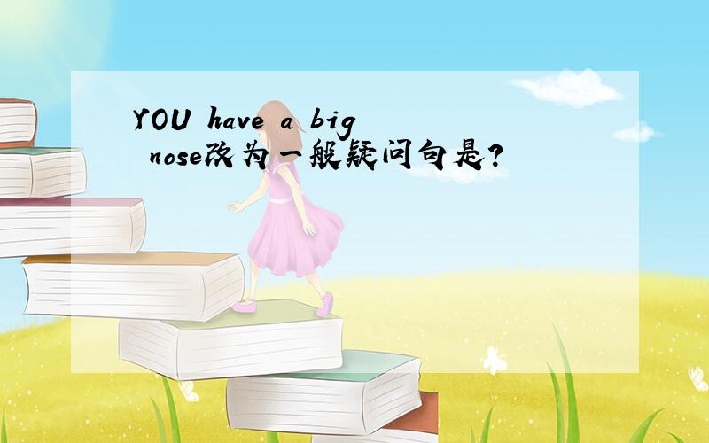 YOU have a big nose改为一般疑问句是?