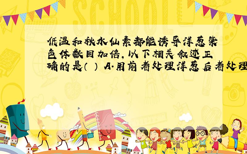 低温和秋水仙素都能诱导洋葱染色体数目加倍,以下相关叙述正确的是（ ） A．用前者处理洋葱后者处理更奏效B．两者起作用的时