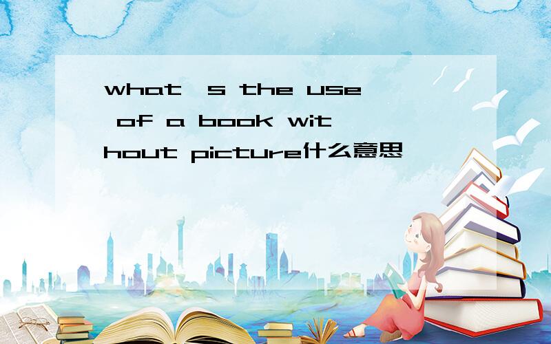 what's the use of a book without picture什么意思