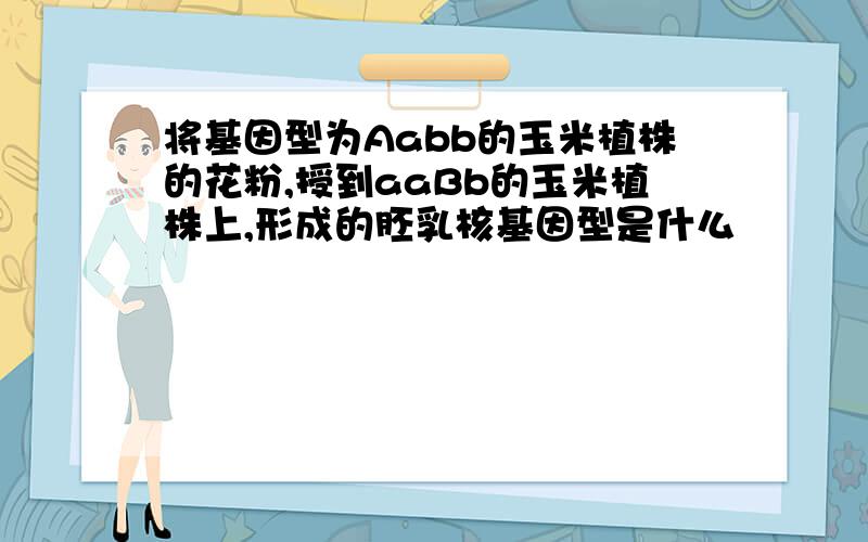 将基因型为Aabb的玉米植株的花粉,授到aaBb的玉米植株上,形成的胚乳核基因型是什么