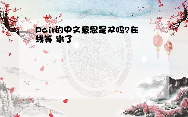 Pair的中文意思是双吗?在线等 谢了