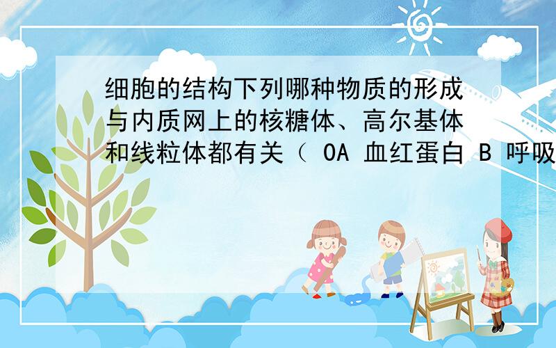 细胞的结构下列哪种物质的形成与内质网上的核糖体、高尔基体和线粒体都有关（ 0A 血红蛋白 B 呼吸氧化酶 C 抗体 D