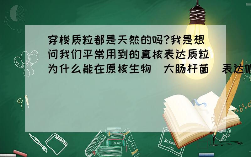 穿梭质粒都是天然的吗?我是想问我们平常用到的真核表达质粒为什么能在原核生物（大肠杆菌）表达呢?