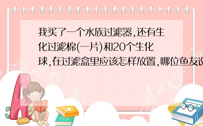 我买了一个水族过滤器,还有生化过滤棉(一片)和20个生化球,在过滤盒里应该怎样放置,哪位鱼友说下.还有硝化细菌应该在哪里