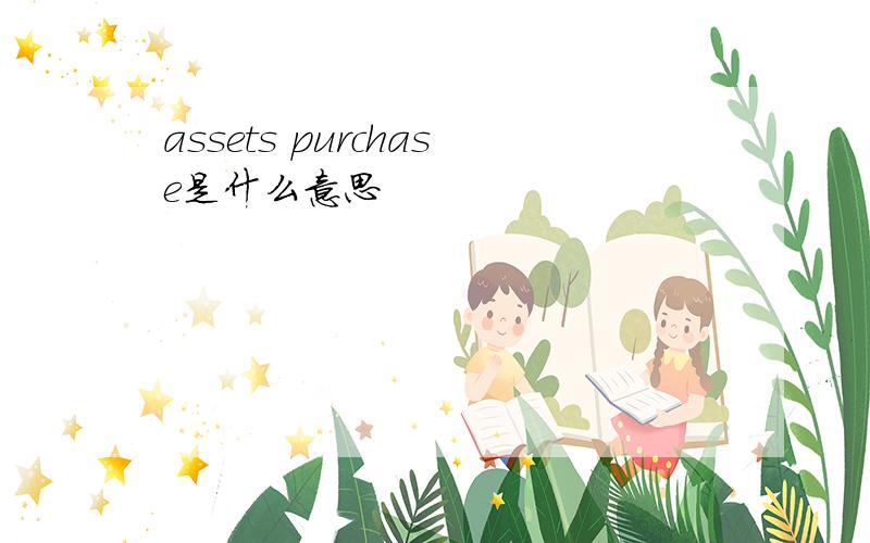 assets purchase是什么意思