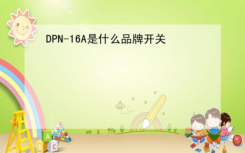 DPN-16A是什么品牌开关