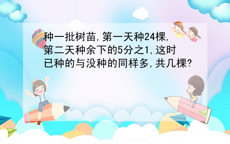 种一批树苗,第一天种24棵,第二天种余下的5分之1,这时已种的与没种的同样多,共几棵?