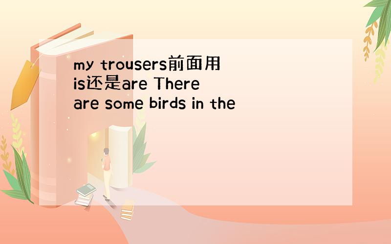 my trousers前面用is还是are There are some birds in the