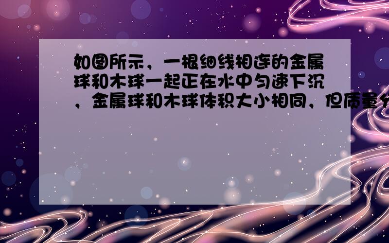 如图所示，一根细线相连的金属球和木球一起正在水中匀速下沉，金属球和木球体积大小相同，但质量分别是M和m，且假定每个球下沉