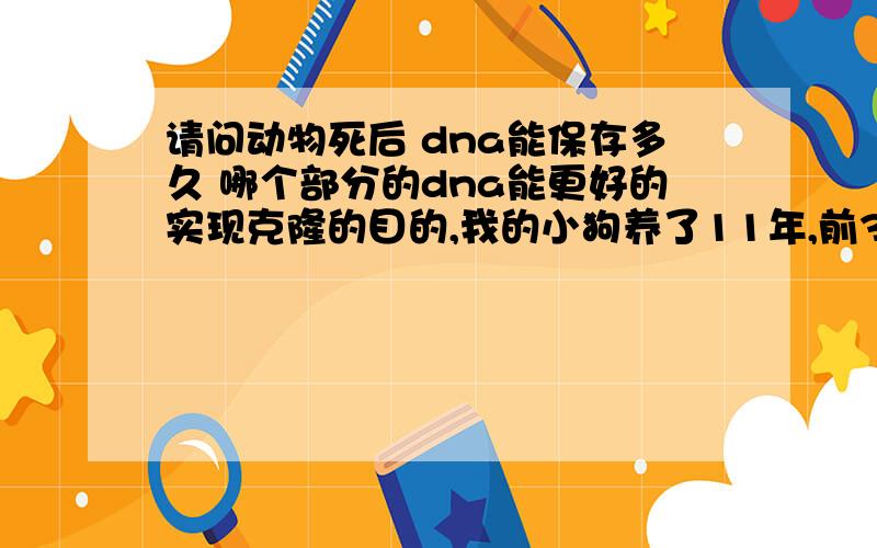 请问动物死后 dna能保存多久 哪个部分的dna能更好的实现克隆的目的,我的小狗养了11年,前3天去世了