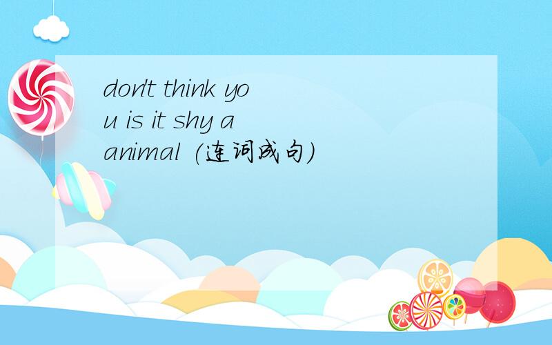 don't think you is it shy a animal (连词成句)