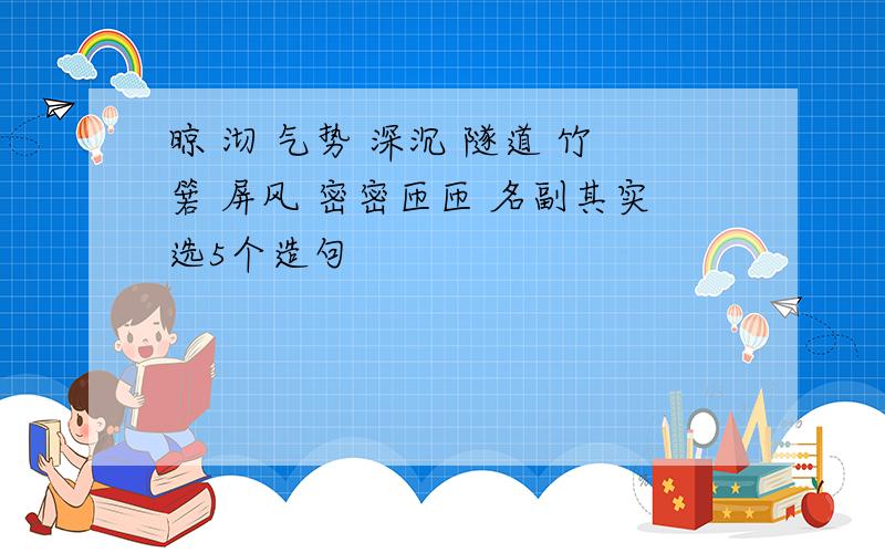 晾 沏 气势 深沉 隧道 竹箬 屏风 密密匝匝 名副其实选5个造句