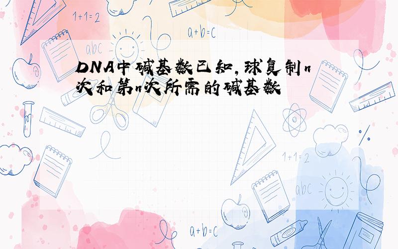 DNA中碱基数已知,球复制n次和第n次所需的碱基数