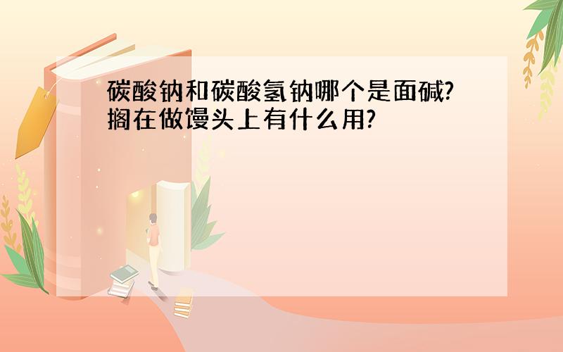 碳酸钠和碳酸氢钠哪个是面碱?搁在做馒头上有什么用?