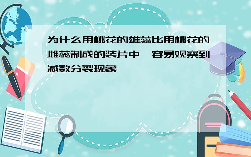 为什么用桃花的雄蕊比用桃花的雌蕊制成的装片中,容易观察到减数分裂现象