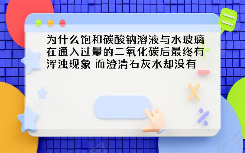 为什么饱和碳酸钠溶液与水玻璃在通入过量的二氧化碳后最终有浑浊现象 而澄清石灰水却没有