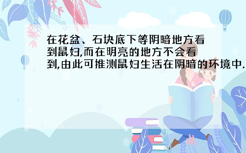 在花盆、石块底下等阴暗地方看到鼠妇,而在明亮的地方不会看到,由此可推测鼠妇生活在阴暗的环境中.