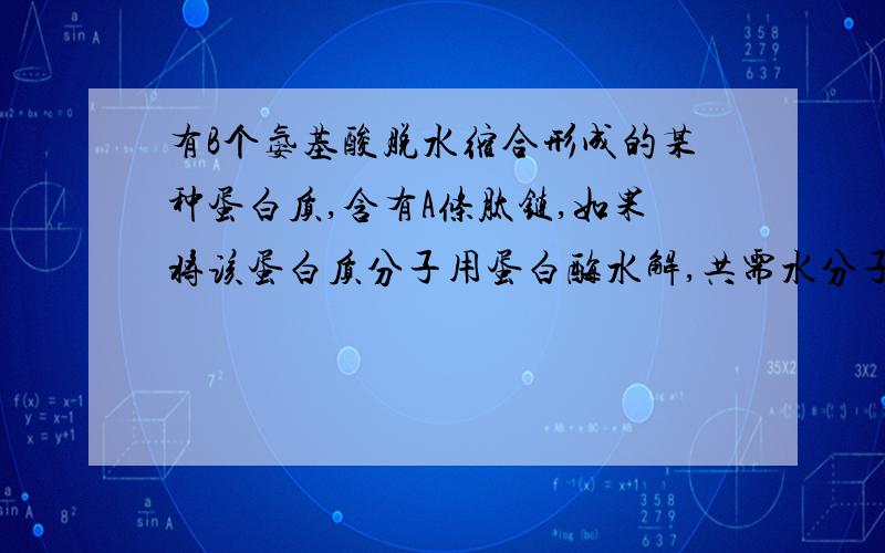 有B个氨基酸脱水缩合形成的某种蛋白质,含有A条肽链,如果将该蛋白质分子用蛋白酶水解,共需水分子多少个?