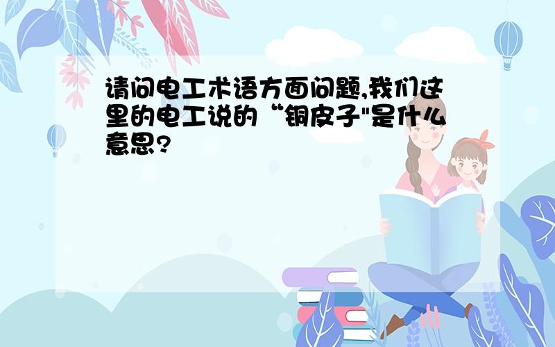 请问电工术语方面问题,我们这里的电工说的“铜皮子