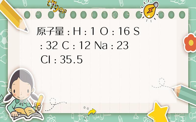 原子量：H：1 O：16 S：32 C：12 Na：23 CI：35.5