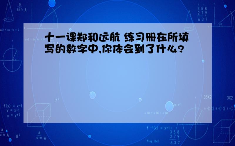 十一课郑和远航 练习册在所填写的数字中,你体会到了什么?