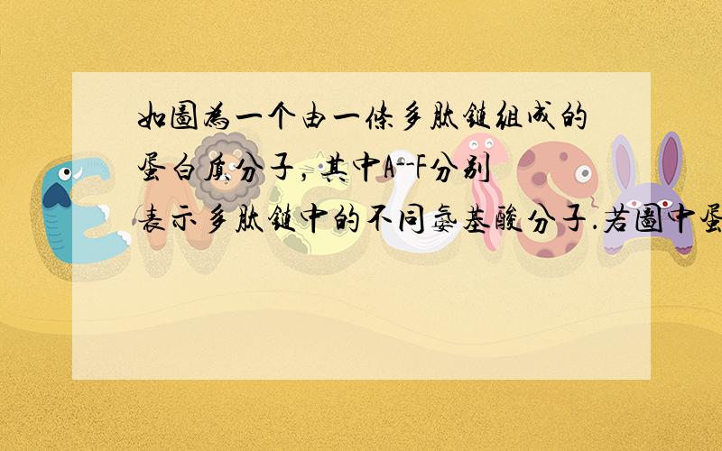 如图为一个由一条多肽链组成的蛋白质分子，其中A--F分别表示多肽链中的不同氨基酸分子．若图中蛋白质分子由n个氨基酸分子组