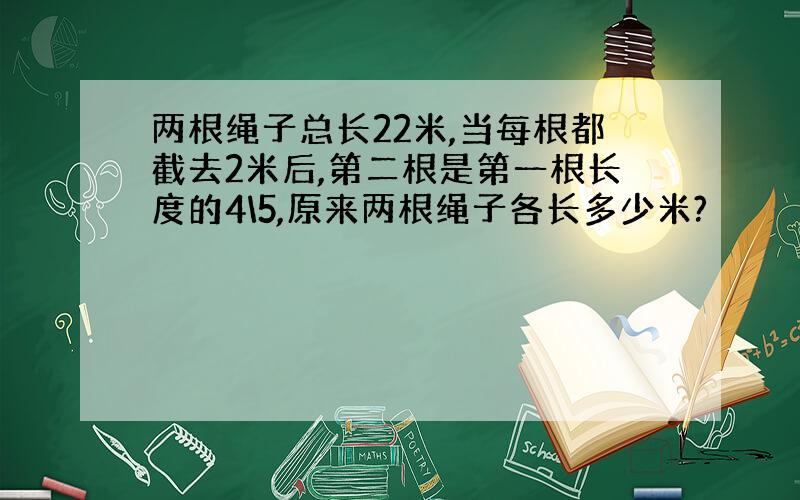 两根绳子总长22米,当每根都截去2米后,第二根是第一根长度的4\5,原来两根绳子各长多少米?