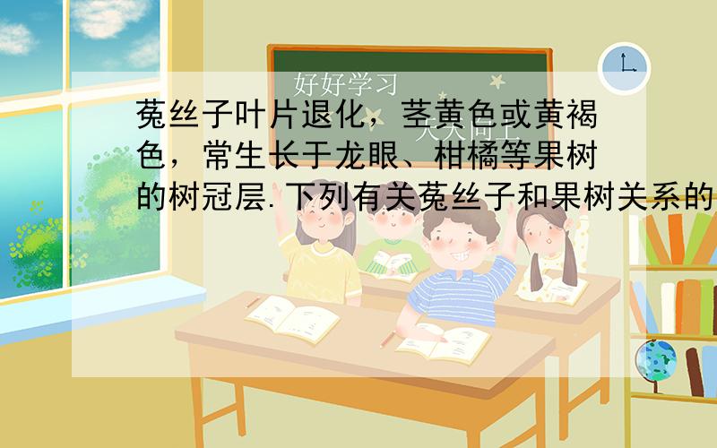 菟丝子叶片退化，茎黄色或黄褐色，常生长于龙眼、柑橘等果树的树冠层.下列有关菟丝子和果树关系的叙述，正确的是（　　）