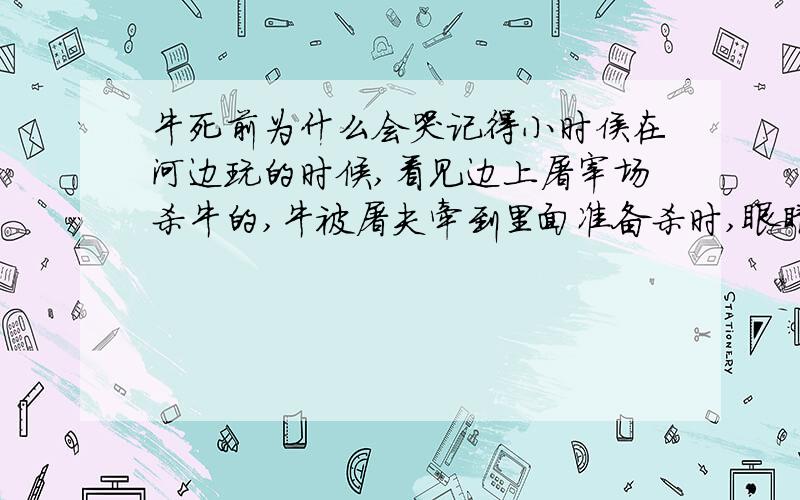 牛死前为什么会哭记得小时侯在河边玩的时候,看见边上屠宰场杀牛的,牛被屠夫牵到里面准备杀时,眼睛会涌出大量的泪水,样子非常