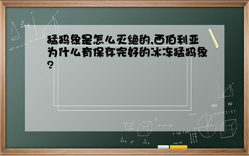 猛犸象是怎么灭绝的,西伯利亚为什么有保存完好的冰冻猛犸象?