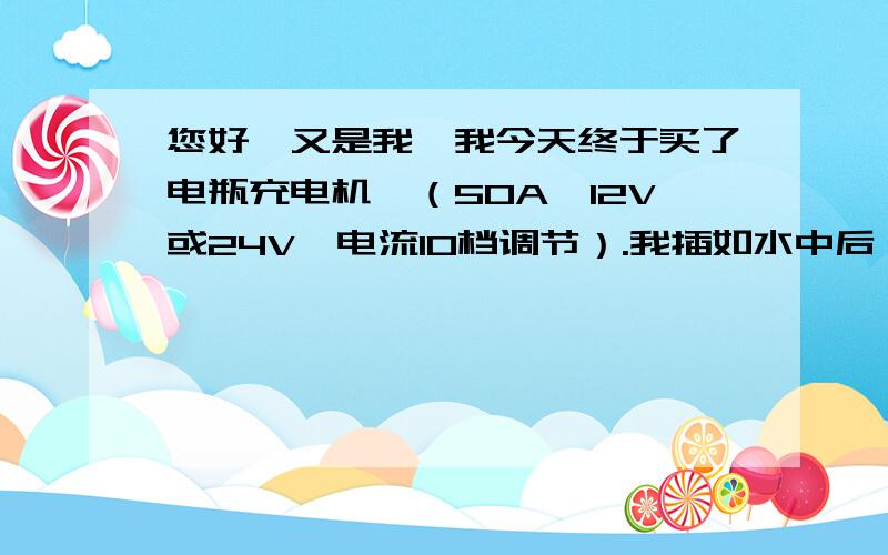 您好,又是我,我今天终于买了电瓶充电机,（50A,12V或24V,电流10档调节）.我插如水中后,