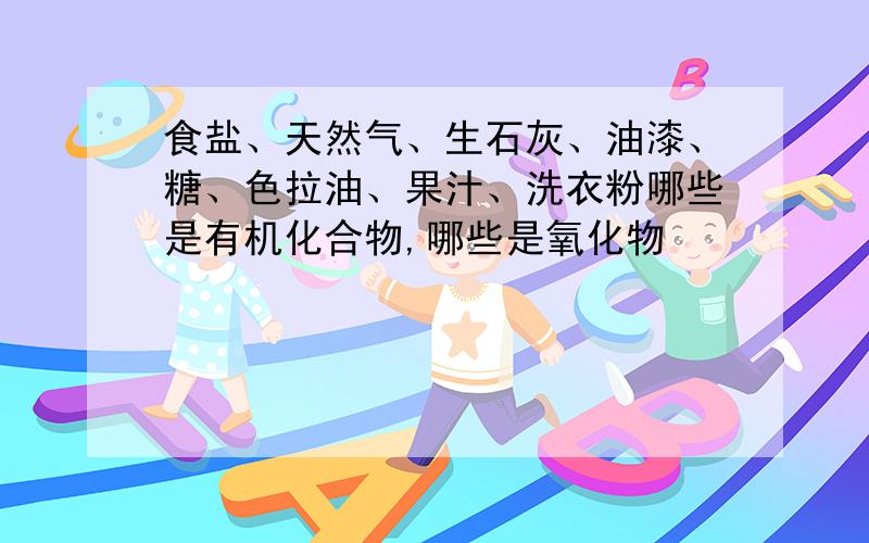 食盐、天然气、生石灰、油漆、糖、色拉油、果汁、洗衣粉哪些是有机化合物,哪些是氧化物