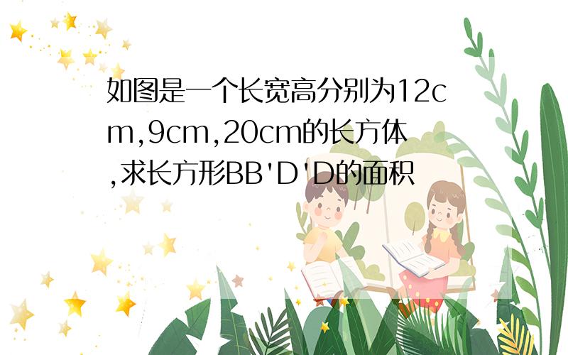 如图是一个长宽高分别为12cm,9cm,20cm的长方体,求长方形BB'D'D的面积