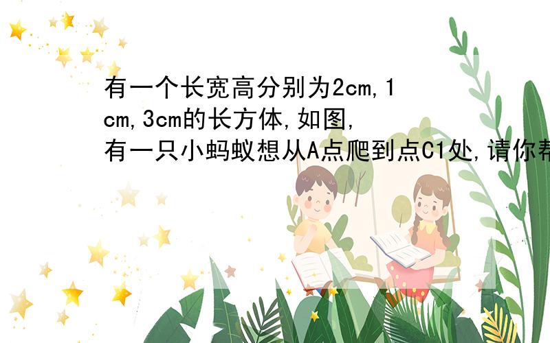 有一个长宽高分别为2cm,1cm,3cm的长方体,如图,有一只小蚂蚁想从A点爬到点C1处,请你帮它设计爬行得最短路线,并