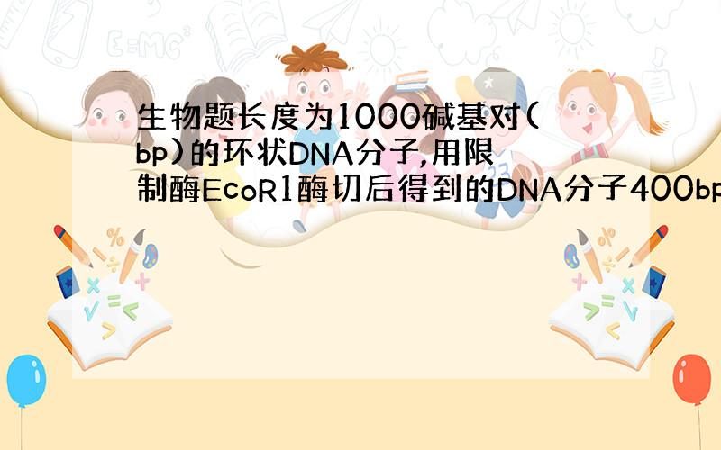 生物题长度为1000碱基对(bp)的环状DNA分子,用限制酶EcoR1酶切后得到的DNA分子400bp和600bp,用限