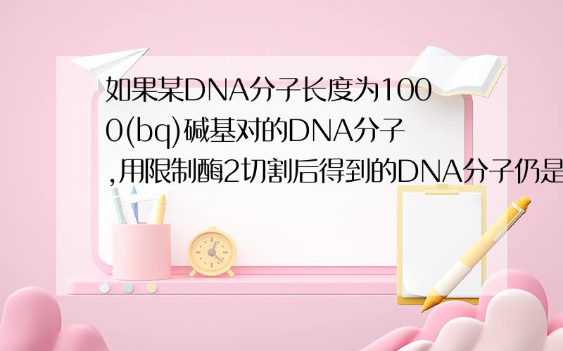 如果某DNA分子长度为1000(bq)碱基对的DNA分子,用限制酶2切割后得到的DNA分子仍是1000碱基对（bq）,说