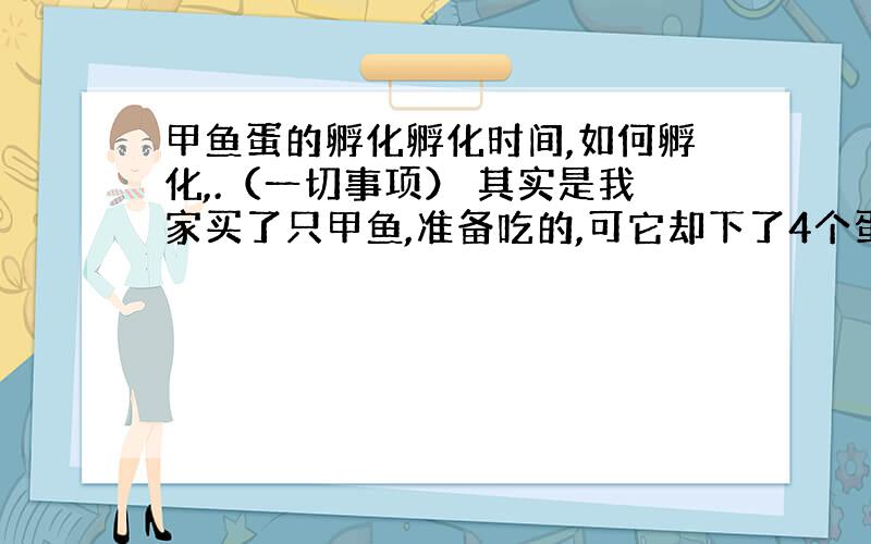 甲鱼蛋的孵化孵化时间,如何孵化,.（一切事项） 其实是我家买了只甲鱼,准备吃的,可它却下了4个蛋!