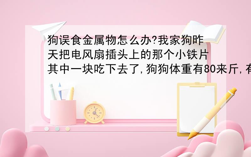 狗误食金属物怎么办?我家狗昨天把电风扇插头上的那个小铁片其中一块吃下去了,狗狗体重有80来斤,有危险吗?急