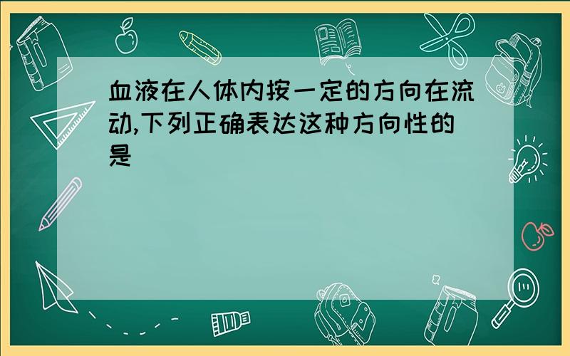 血液在人体内按一定的方向在流动,下列正确表达这种方向性的是（）