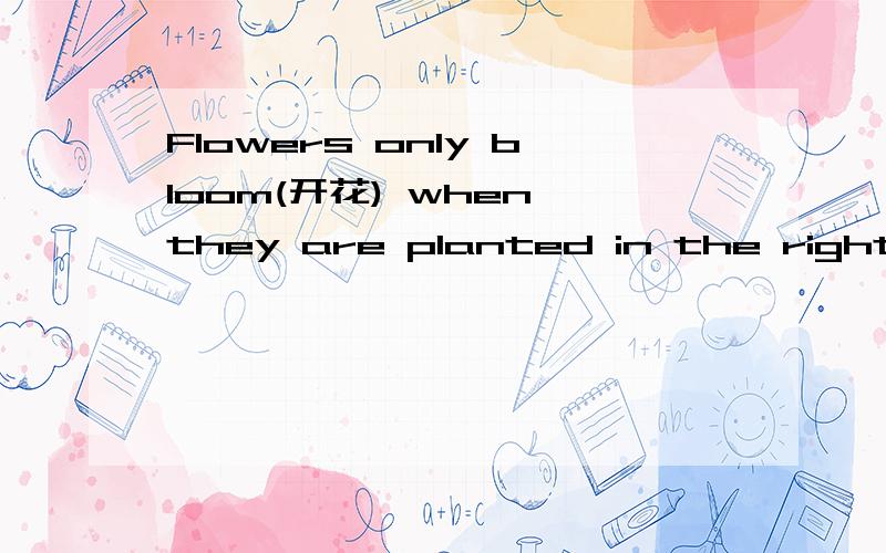 Flowers only bloom(开花) when they are planted in the right so