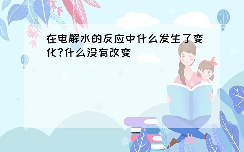 在电解水的反应中什么发生了变化?什么没有改变